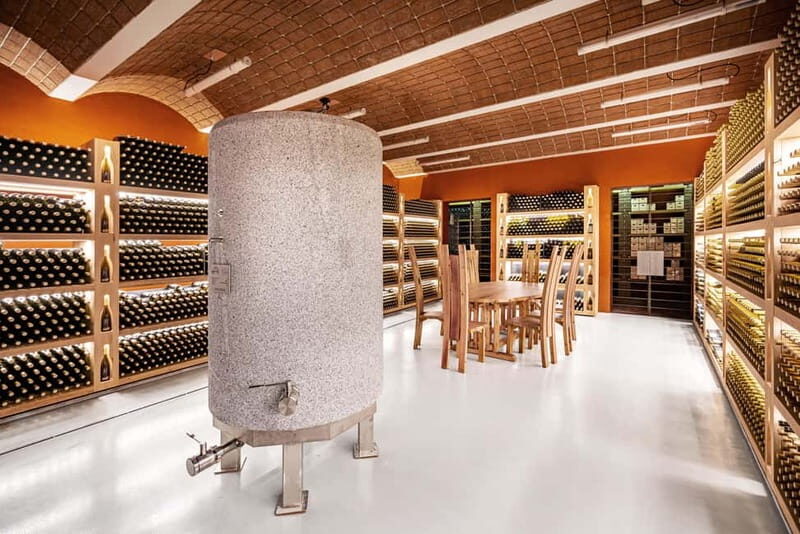 Wine Tasting Tour: Journey to South Tyrols Finest Wines - Key Points