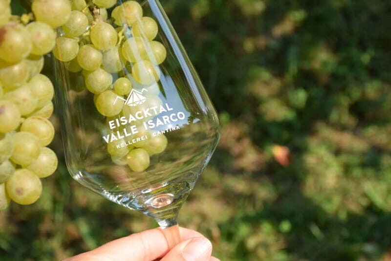 Wine Tasting Tour: Journey to South Tyrols Finest Wines - The Value of the Tour