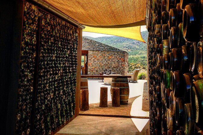 Wine Tasting Tour ONLY for Cruise Ship Visitors. ALL INCLUSIVE! - An In-Depth Look at the Experience