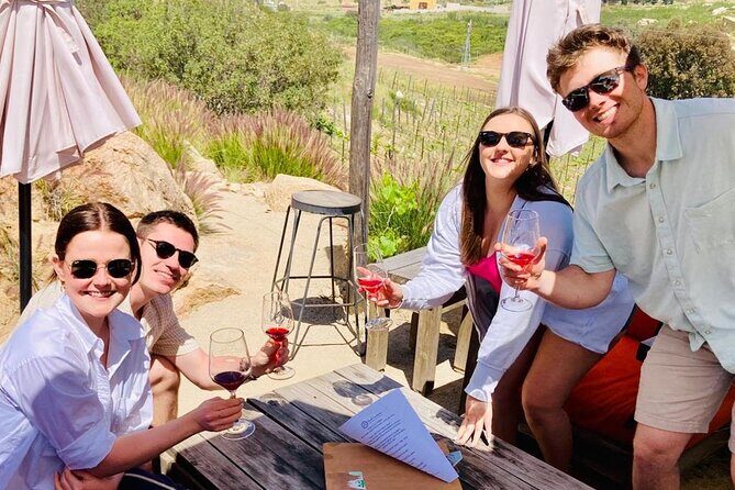 Wine Tasting Tour ONLY for Cruise Ship Visitors. ALL INCLUSIVE! - Authentic Experiences and Reviews