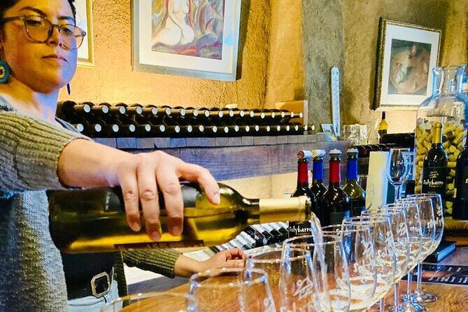 Wine Tasting Tour ONLY for Cruise Ship Visitors. ALL INCLUSIVE! - Final Thoughts