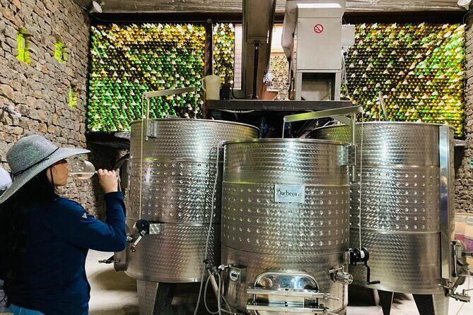 Wine Tasting Tour ONLY for Cruise Ship Visitors. ALL INCLUSIVE! - Frequently Asked Questions