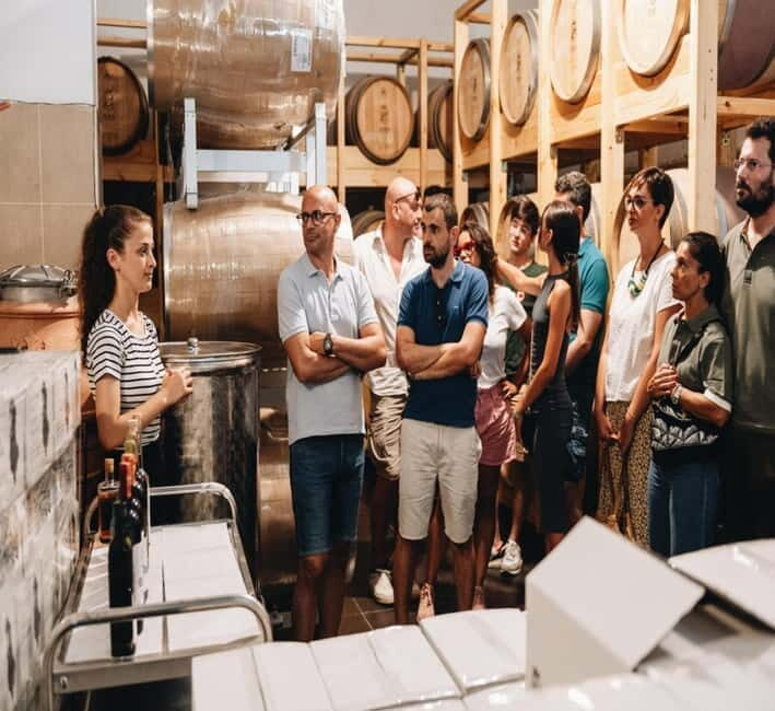 Wine tasting tour, Optional wine yard tour and kayak rides - Who Will Love This Tour?