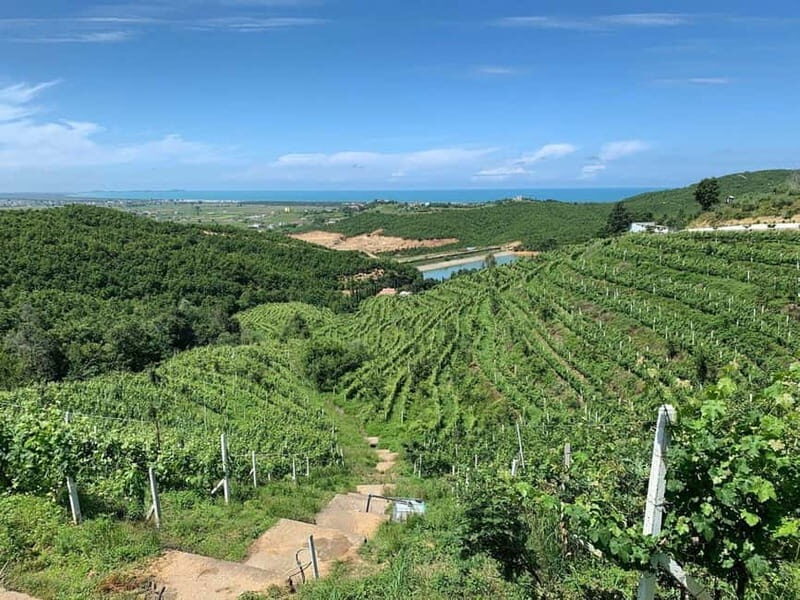 Wine tasting tour, Optional wine yard tour and kayak rides - Final Thoughts