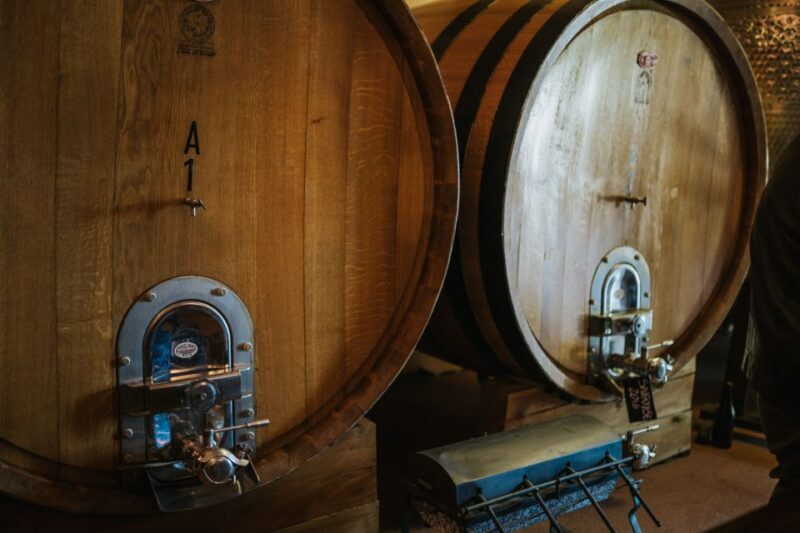 Wine tasting tour with olive oil and salami - The Tasting Experience: From Legends to Glasses