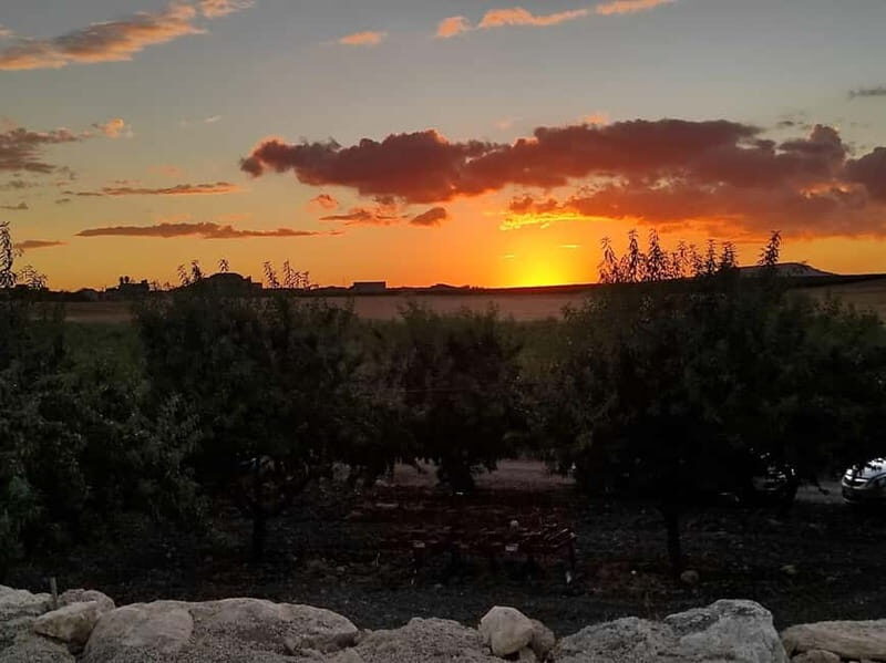 Wine tasting under the Stars in the vineyards of Agrigento - Why This Tour Works