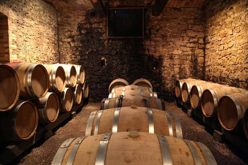 Wine Tasting & Vineyards Escape near Tirana - In-Depth: What Sets This Tour Apart?