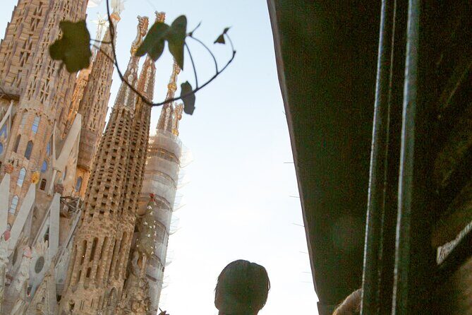 Wine tasting with a view of the Sagrada Familia - What to Expect on the Tour