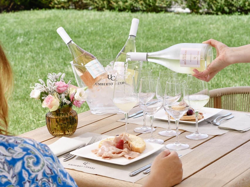Wine Tasting With Food Pairing Near Bologna - Key Points