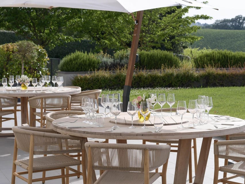 Wine Tasting With Food Pairing Near Bologna - Regional Culinary Delights