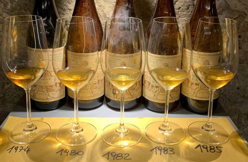 Wine Tasting with Local Bites in Pisa near the Tower - Who Should Consider This Experience?