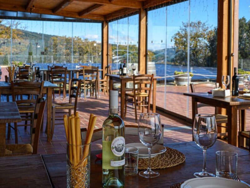 Wine Tasting with Local Food Pairing near Livorno - A Tasty Look at Tuscany: Wine Tasting Near Livorno