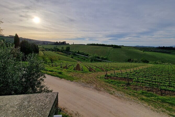 Wine Tour 6 hours 2 top wineries of Chianti Classico Limo Service - A Luxurious Taste of Chianti’s Countryside