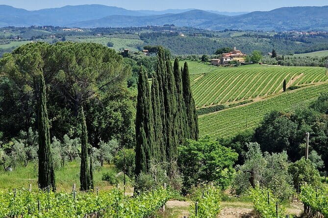 Wine Tour 6 hours 2 top wineries of Chianti Classico Limo Service - Who Will Love This Tour?