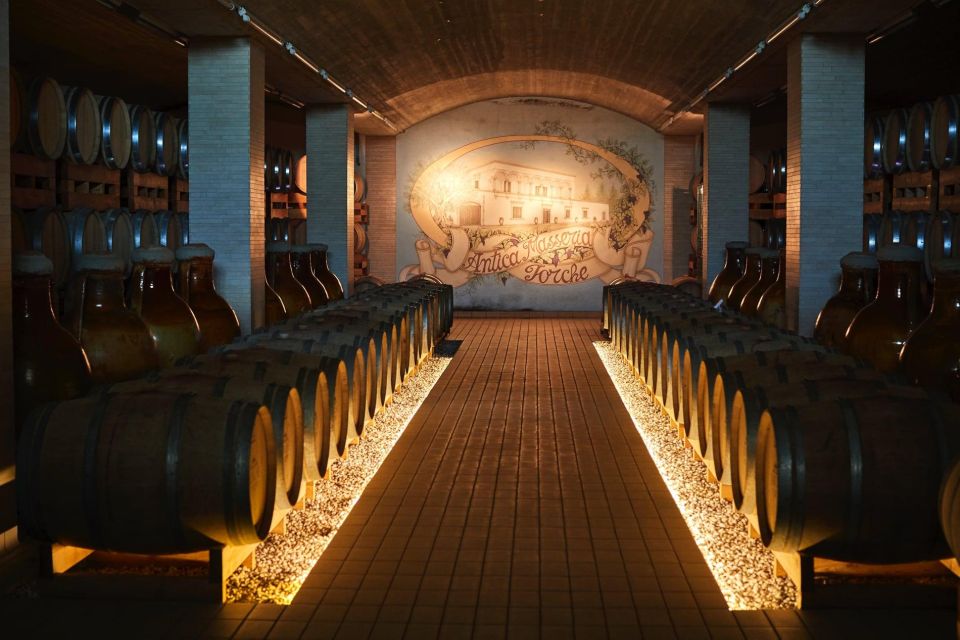 Wine Tour and Dinner: Puglia at the Table - Transportation Options