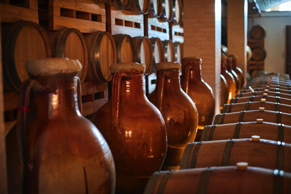 Wine Tour and Dinner: Puglia at the Table - Language and Communication