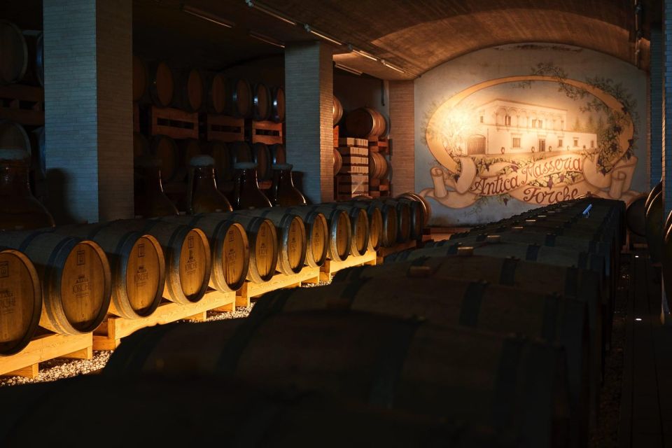 Wine Tour and Dinner: Puglia at the Table - Frequently Asked Questions