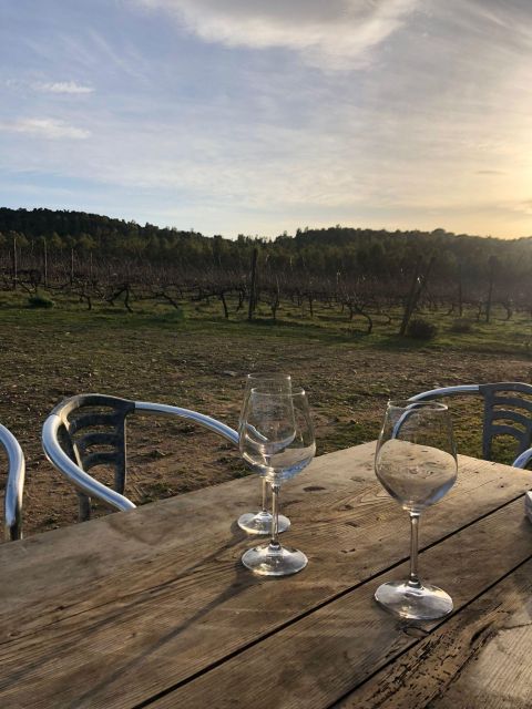 Wine Tour and Lunch or Dinner at Our Vineyard - Tasting of Organic Wines and Liqueurs