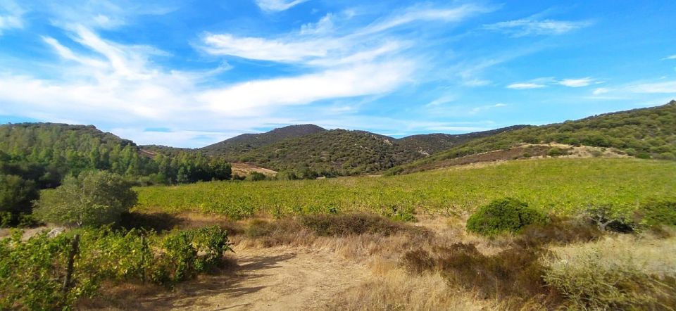 Wine Tour and Lunch or Dinner at Our Vineyard - Meeting Point and Directions