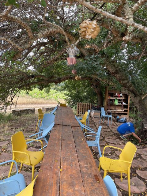 Wine Tour and Lunch or Dinner at Our Vineyard - Included in the Tour