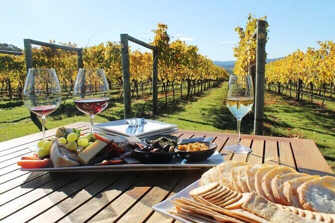 Wine tour and private cooking class 6 hours - An In-Depth Look at the Santorini Wine Tour and Cooking Class