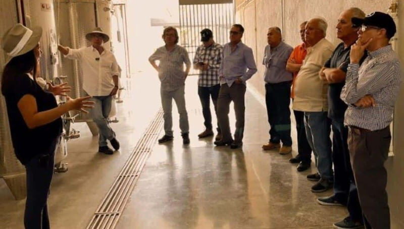 Wine tour and tasting at Vinícola Tierra de Luz - Authenticity and Value