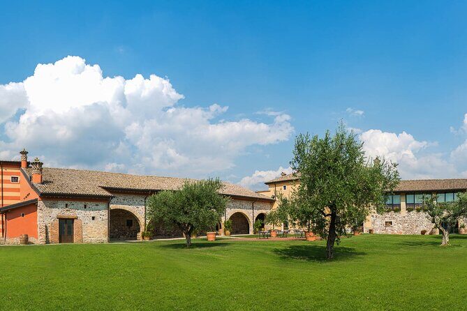 Wine Tour and Tasting on Garda Hills - An In-Depth Look at the Wine Tour and Tasting on Garda Hills