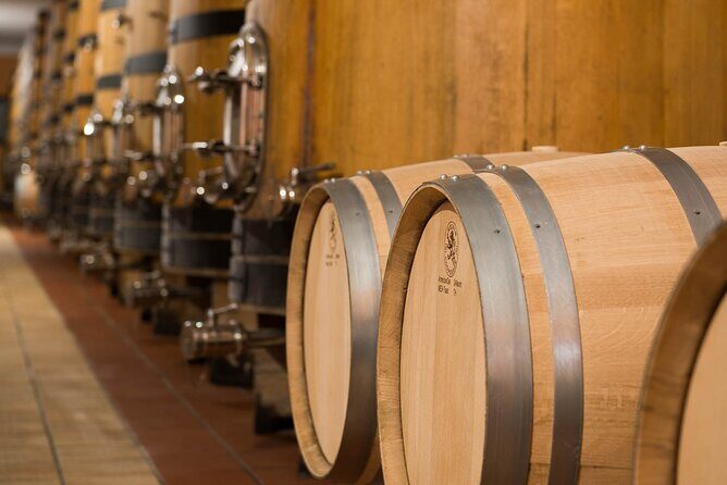 Wine Tour and Tasting on Garda Hills - The Price and Value