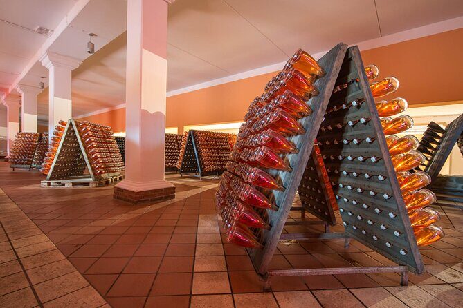 Wine Tour and Tasting on Garda Hills - The Sum Up