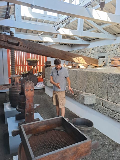 Wine Tour and Tasting with a local Winemaker at Pico Island - Key Points