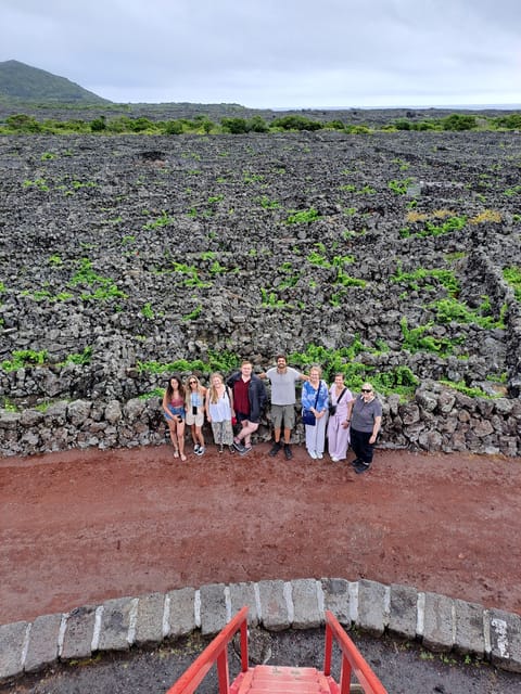 Wine Tour and Tasting with a local Winemaker at Pico Island - An In-Depth Look at the Pico Wine Tour