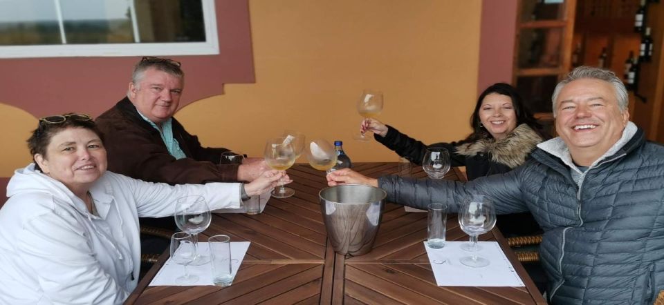 Wine Tour and Traditional Portuguese Tiles in Half Day Tour - Optional Activities