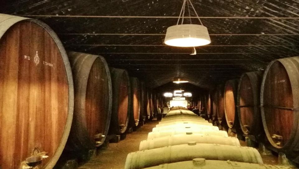 Wine Tour and Traditional Portuguese Tiles in Half Day Tour - Pricing and Booking