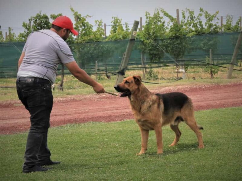Wine tour Areni Noravank Khor Virap Areni cave - Final Word