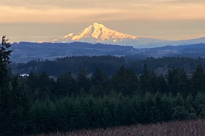 Wine Tour at Ardiri Winery Private Walking Experience - A Close Look at the Ardiri Winery Private Walking Experience