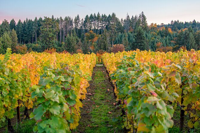 Wine Tour at Ardiri Winery Private Walking Experience - Final Thoughts: Who Should Consider This Tour?