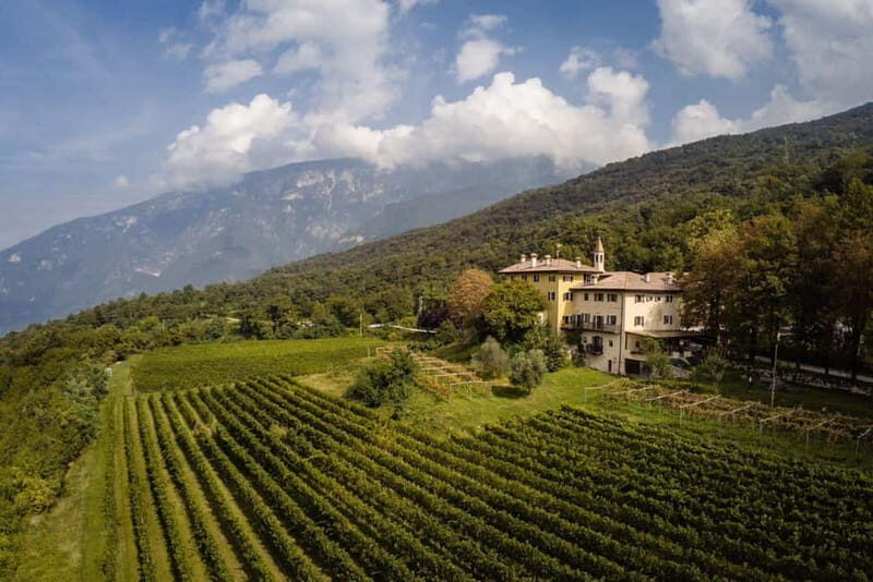 Wine tour at Borgo dei Posseri: wine, nature, and authenticity - The Setting and Arrival Experience