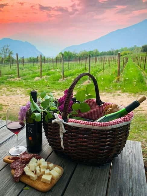 Wine tour at Borgo dei Posseri: wine, nature, and authenticity - The Wines Tasted