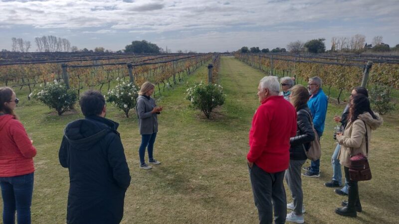 Wine Tour Córdoba - Inclusions of the Tour