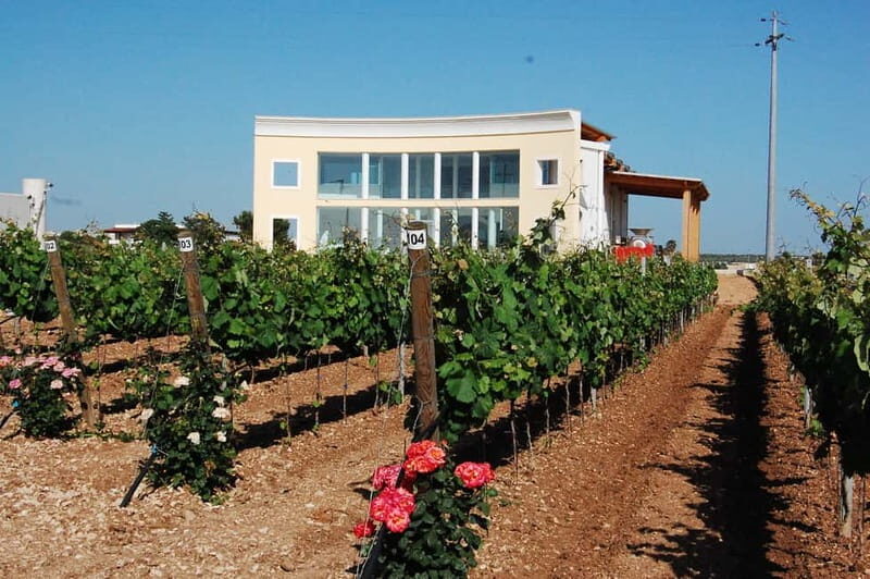 Wine Tour "Discovery Jarche" - The Practicalities