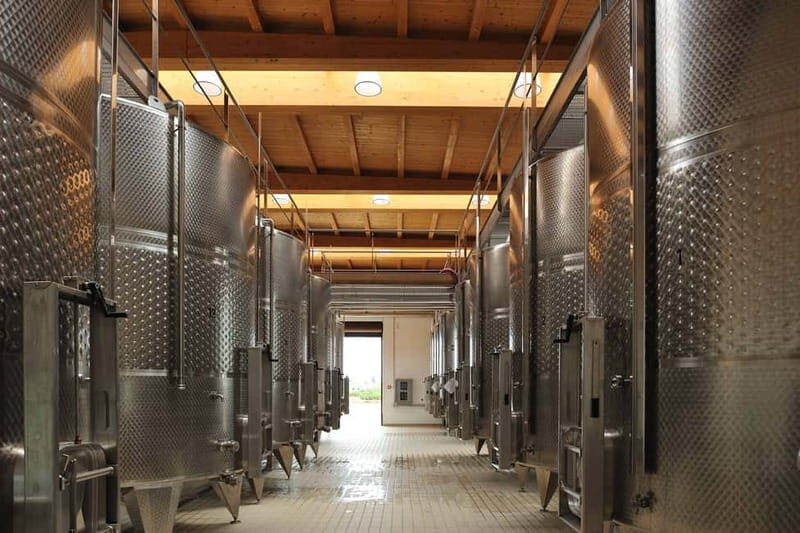 Wine Tour "Discovery Jarche" - Authentic Insights from Past Participants