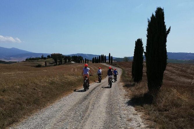 Wine Tour Ebike Experience - Who Should Consider This Tour?