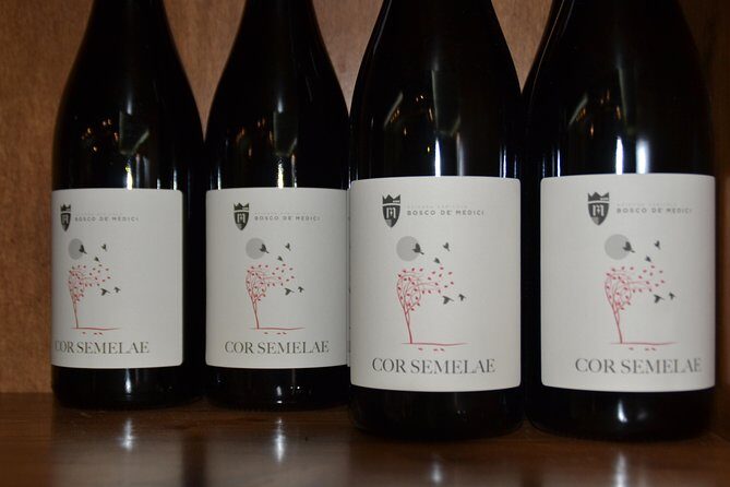 Wine Tour Experience for Family or friend's group - The Sum Up