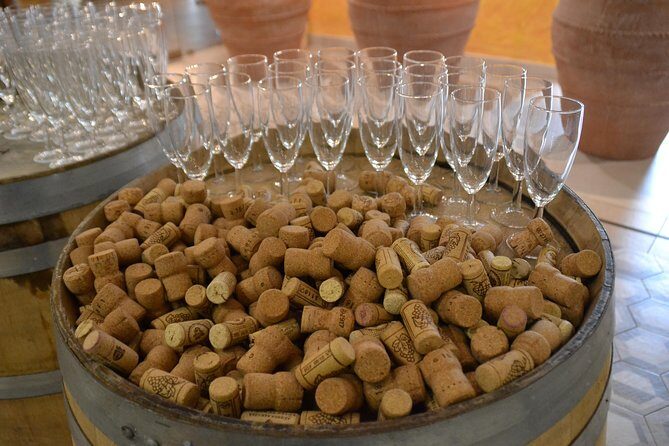 Wine Tour Experience for Family or friend's group - FAQ