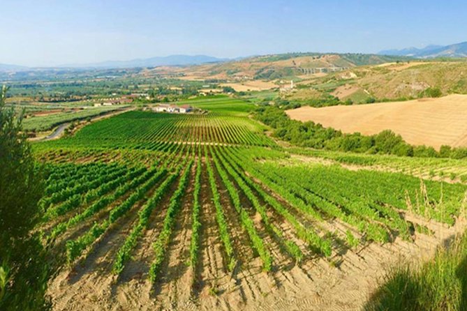 Wine Tour in Calabria - Tenuta Celimarro Winery - Good To Know