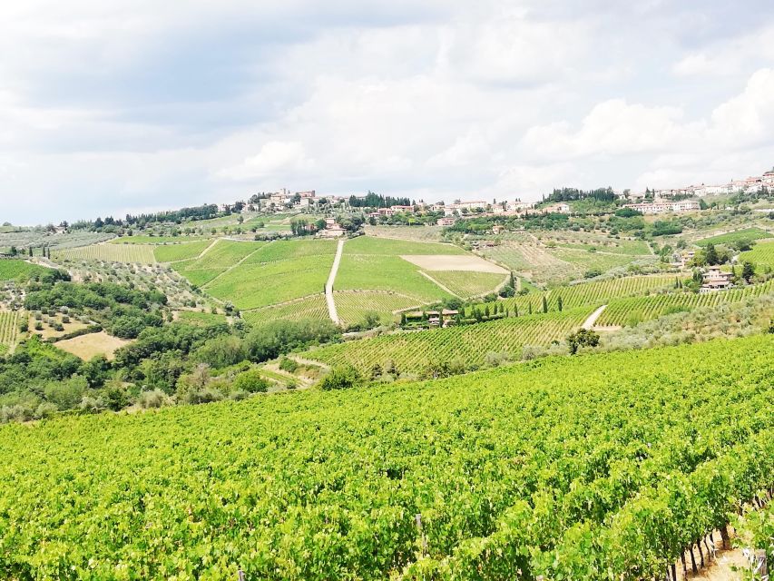 Wine Tour in Open Top Van - Booking Information