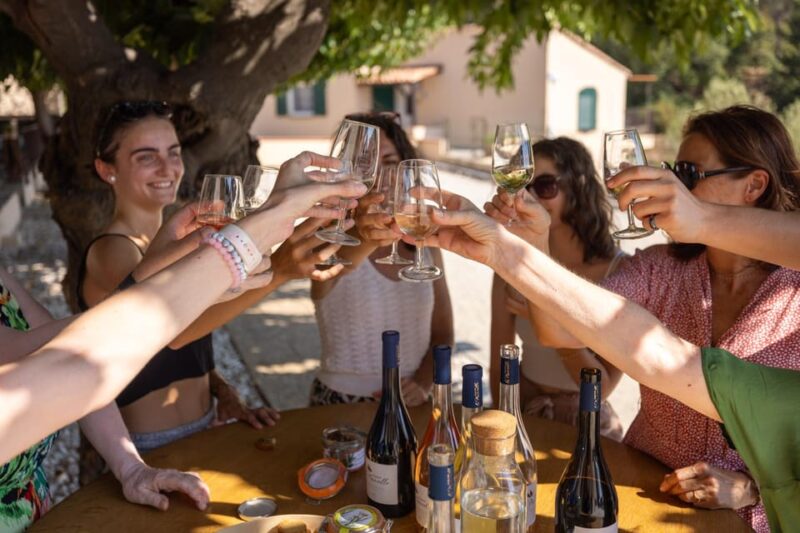 Wine Tour - Le Pradet - Eco-Responsible Vineyard Practices