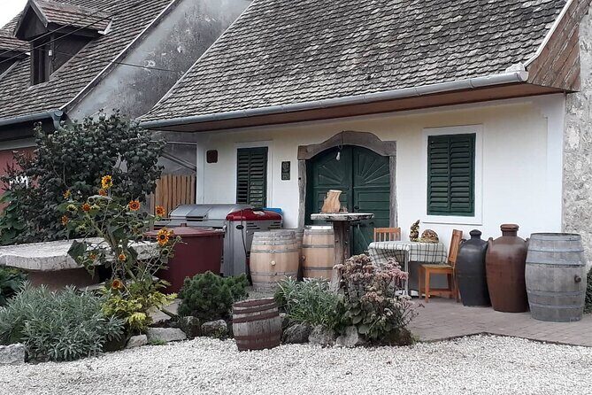 Wine Tour of Etyek from Budapest, taste even 7 kinds of wines! - Who Should Consider This Tour?