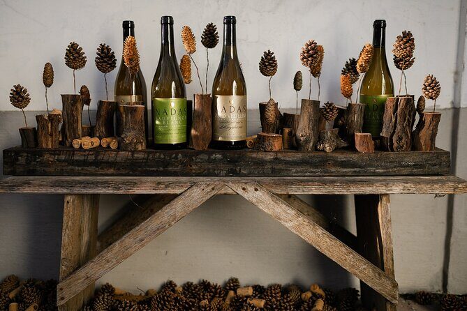 Wine Tour of Etyek from Budapest, taste even 7 kinds of wines! - Final Thoughts