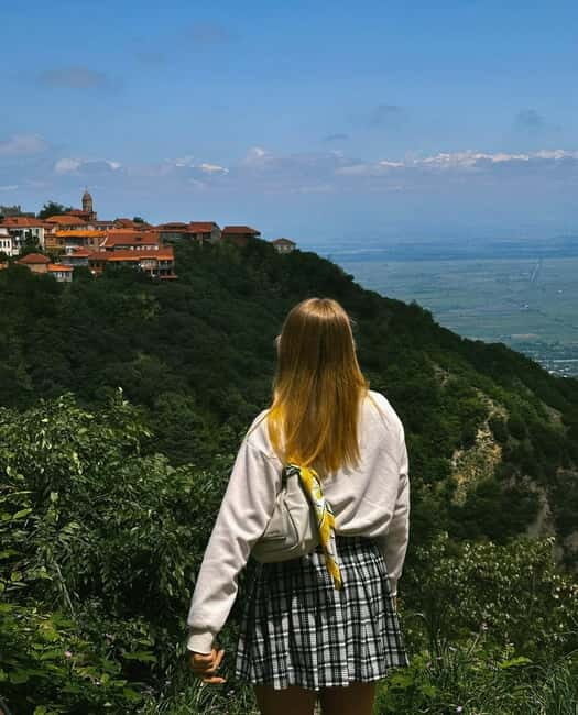 Wine Tour of Kakheti: Sighnaghi, Bodbe Monastery, Telavi - Overview of the Experience  